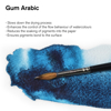 Medium akvarell Gum Arabic 75ml